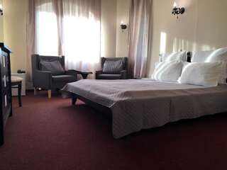 Отель Hotel Imperial Тимишоара Двухместный номер с 1 кроватью-10